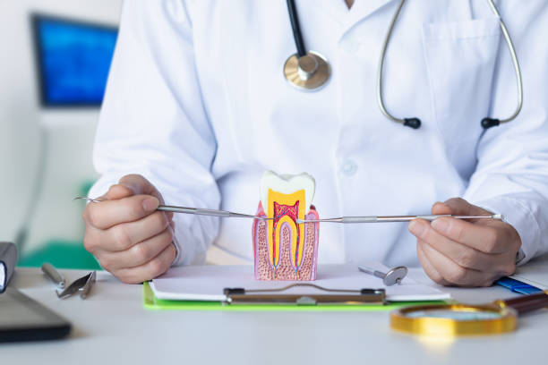 Best Orthodontic Emergency Dentist in Dallas, NC